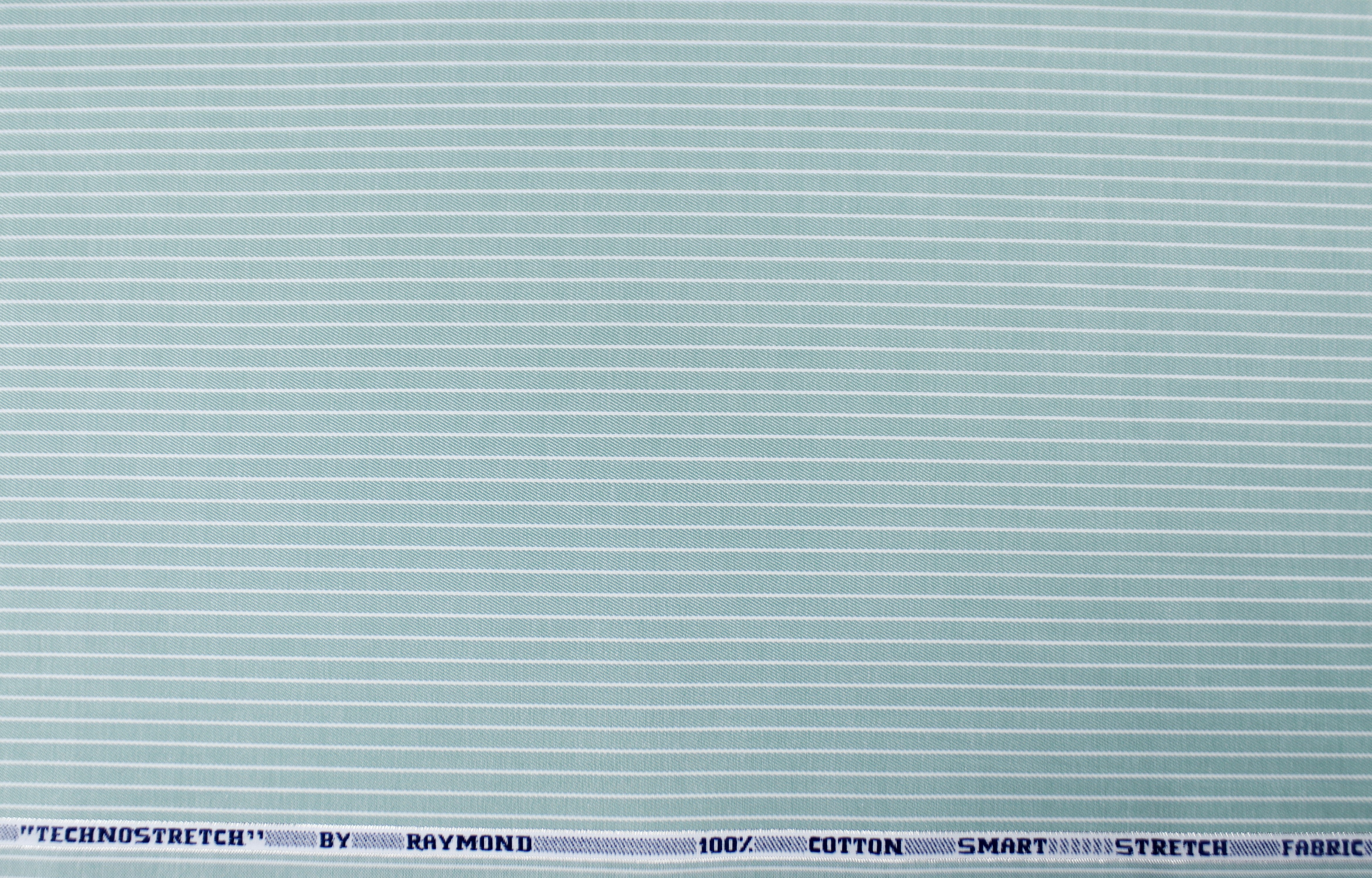 Raymond Shirting